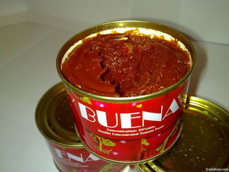 Tomato Paste in 28-30% Brix Concentration