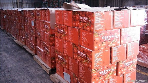 4500g Tomato Paste