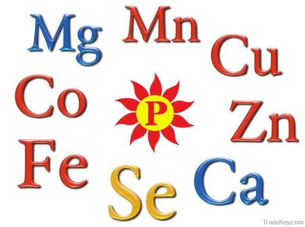 Amino Based Chelated Minerals