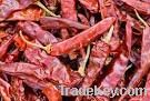 Dried Chilli Pepper