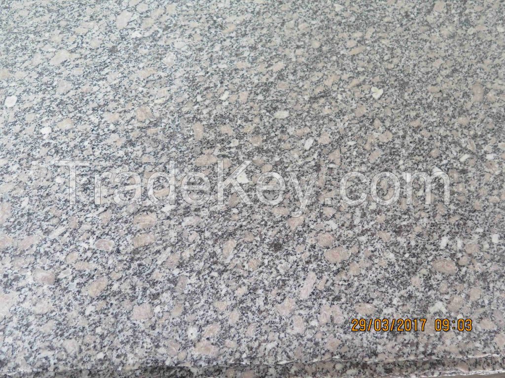Chinese Pink Granite--ROSA PORRINO Granite Slab Granite Tiles