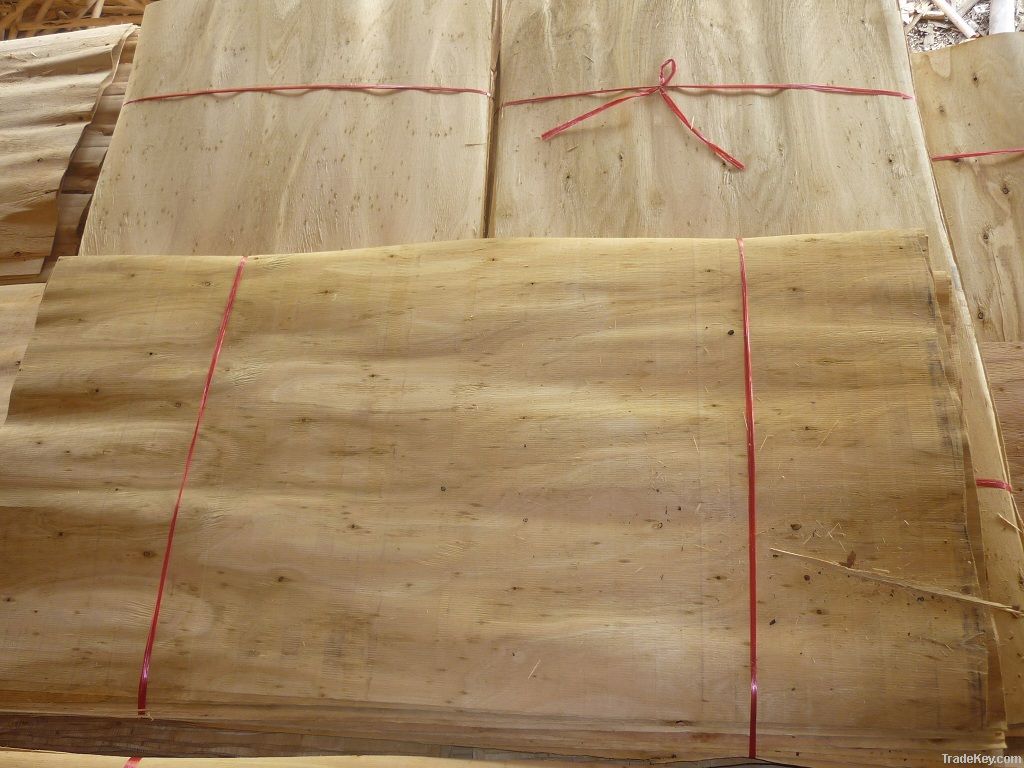 Eucalyptus core veneer