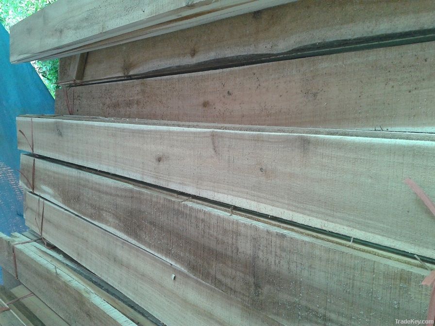 Acacia timber for pallet