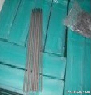 Stainless Steel Electrode