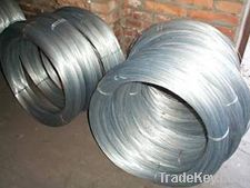 Electro/Hot Dipped Galvanized Iron wire