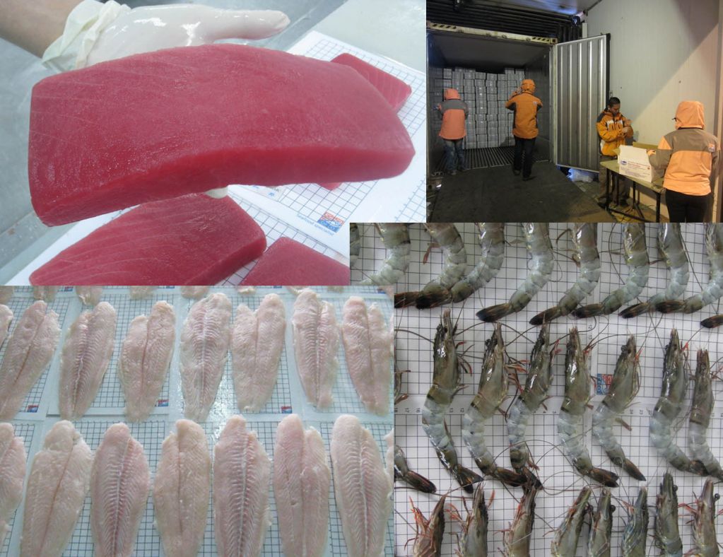 Pangasius - Tuna - Seafood - OFCO Inspection Services