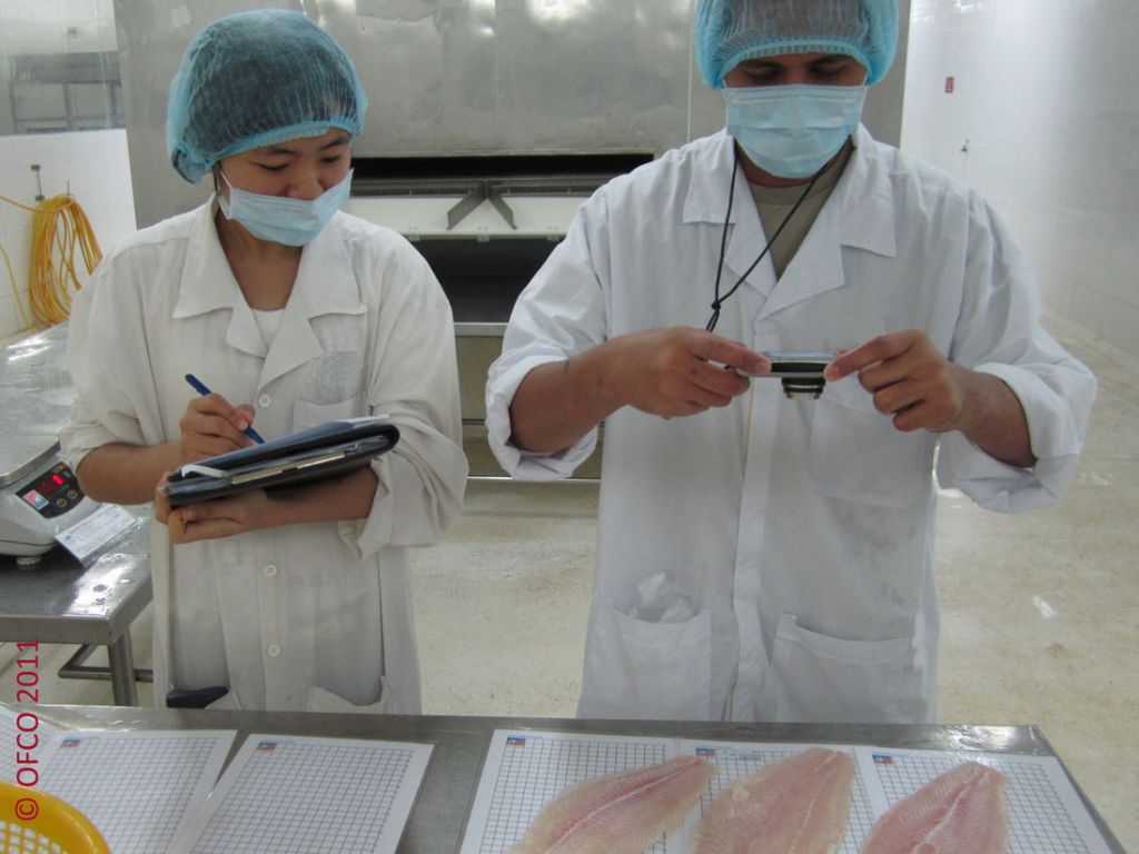 Vietnam Seafood Export - OFCO Services
