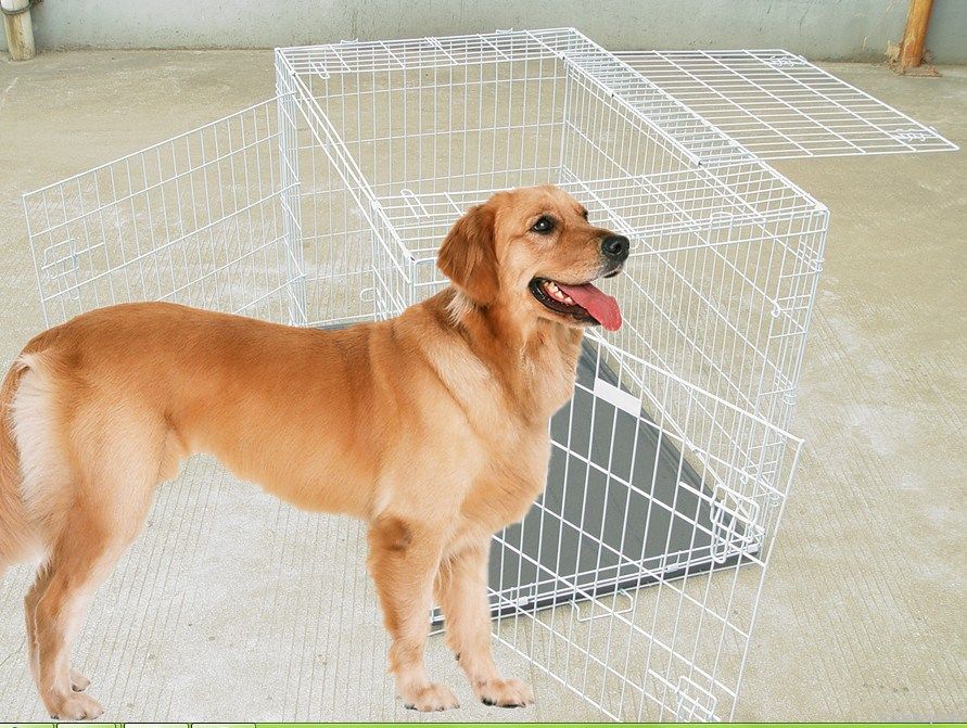 wire dog cage