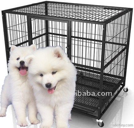 Metal folding dog cage with wheels