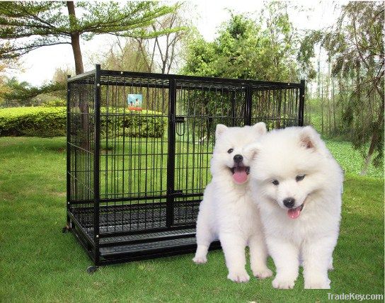 Metal folding dog cage with wheels