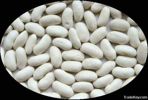 Chinese White Kidney beans