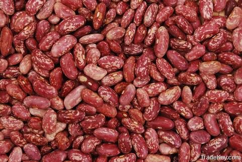 Chinese Red Speckled Kidney Beans