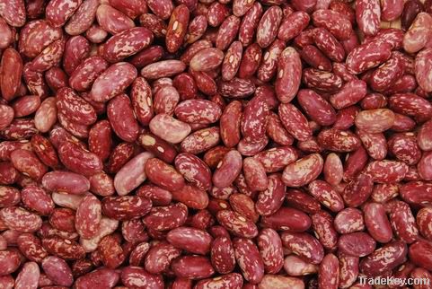 Light Speckled Kidney Beans(Cranberry)