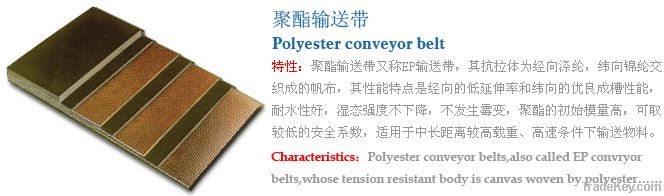 Polyster conveyor belt