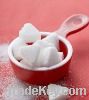 Erythritol supplier