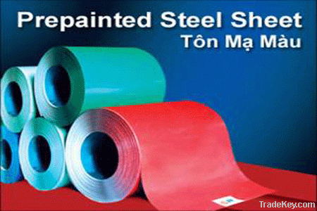 PREPAINTED GALVANIZED STEEL SHEET IN COIL