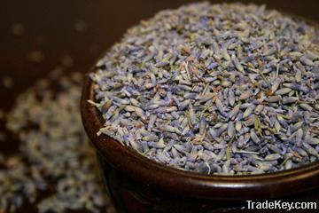 Lavender dried flower