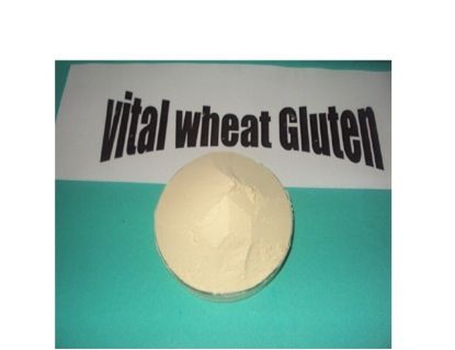 VITAL WHEAT GLUTEN (food grade)