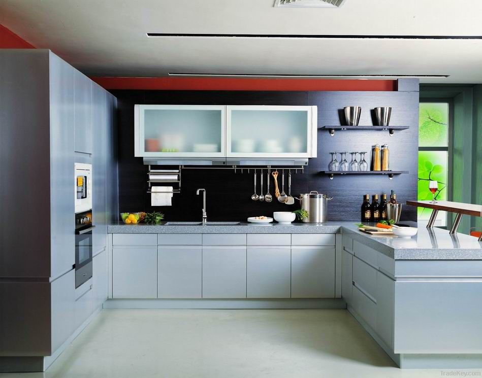 Alu kitchen cabinets