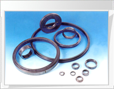 silicon-carbide seal ring