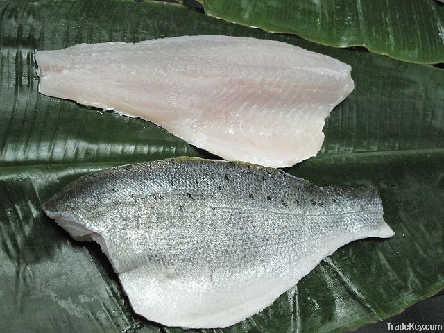 Sea bass