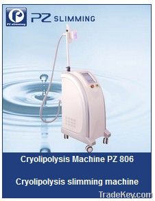 Brand new cryolipolysis cool sculpture slimming machine