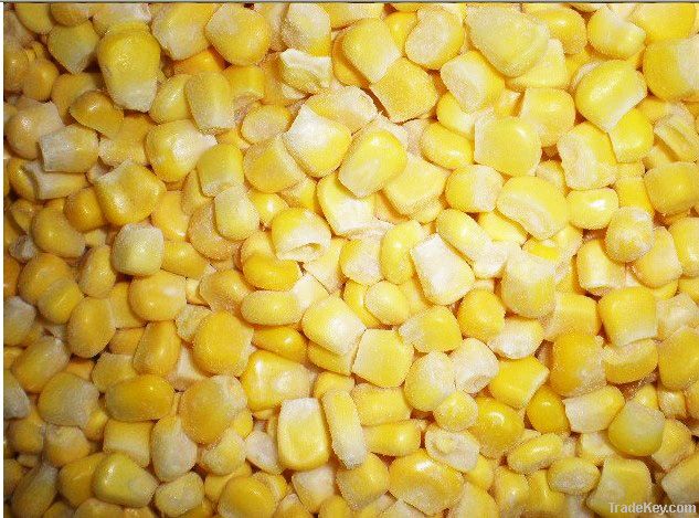 IQF Sweet Corn whole kernels