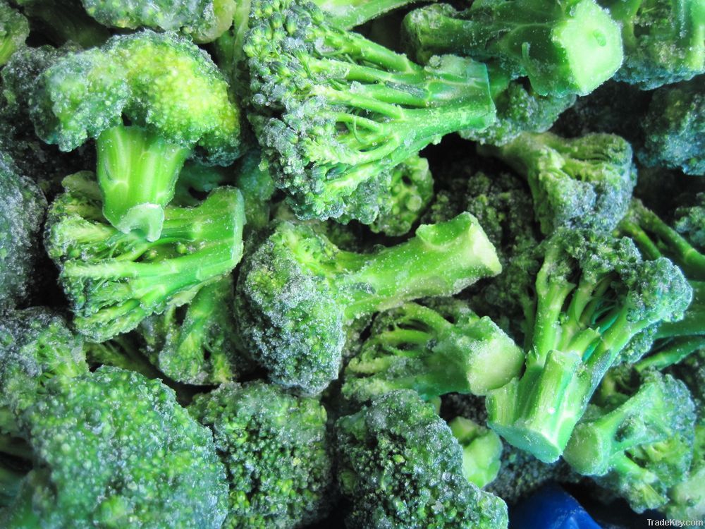 IQF Green Broccoli Florets