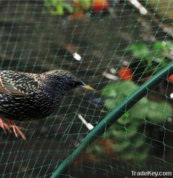 plastic anti-bird protection net