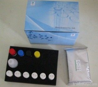 Human 5 - lipoxygenase(5-LOX) ELISA Kit