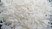 BASMATI RICE EXPORTER| KERNAL RICE WHOLESALER| WHITE RICE MANUFACTURER| LONG GRAIN TRADER| PARBOILED RICE IMPORTERS