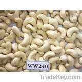 Raw Cashew Nut W240 | W320 | W450