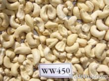 Raw Cashew Nut W240 | W320 | W450