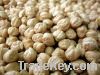 chickpeas suppliers,chick pea exporters,chickpea traders,kabuli chickpea buyers,chick peas wholesalers,low price chickpea,best buy chick peas
