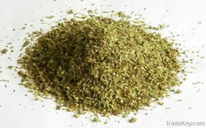 Oregano