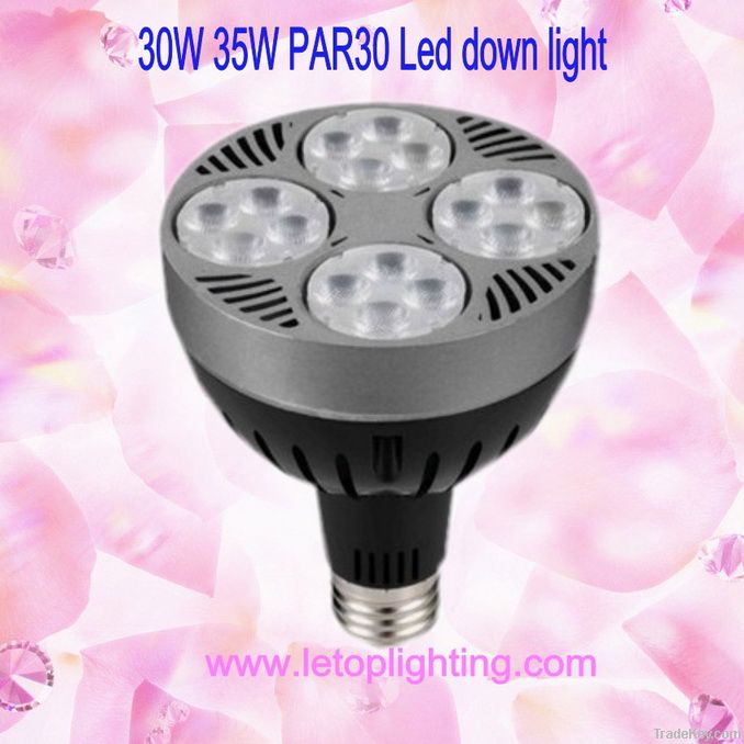 Par30 35W Led down light