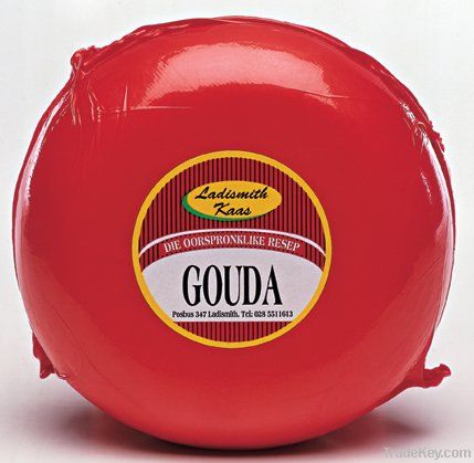 gouda cheese