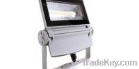LED Outdoor Floodlight