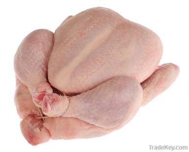 HALAL Frozen Whole Chicken | Halal Chicken Feet