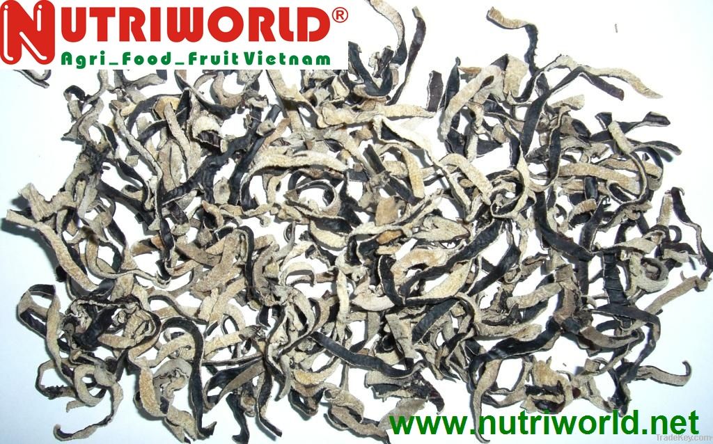 BLACK FUNGUS SLICED