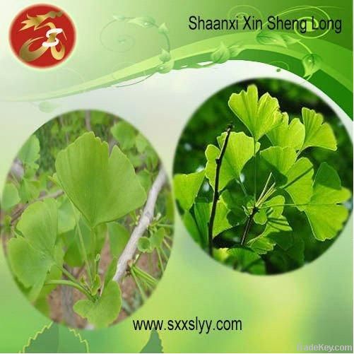 Gingko leaf extract