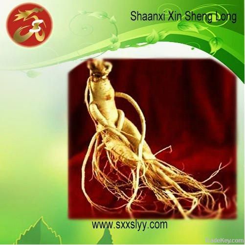 American Ginseng Root Extract