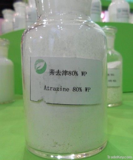 ATRAZINE 80%WP