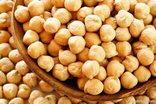 chickpeas suppliers,chick pea exporters,chickpea traders,kabuli chickpea buyers,desi chick peas wholesalers,low price chickpea,best buy chick peas,buy chickpea