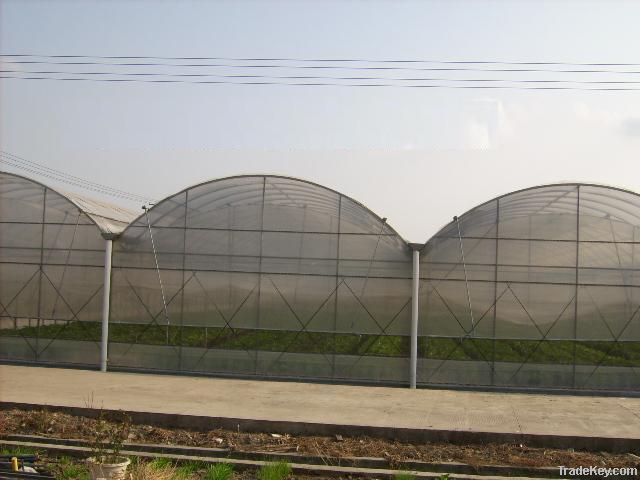 Multi-span Greenhouse  Film