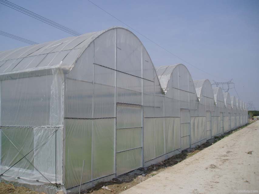 Multi-span Greenhouse  Film