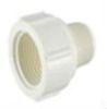 BS PVC Thread Fitting PVC Male and Female Reducer