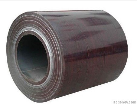 Color Coated Sheet Coils