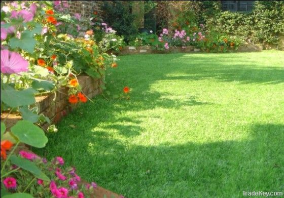 artificial grass/turf for landscaping