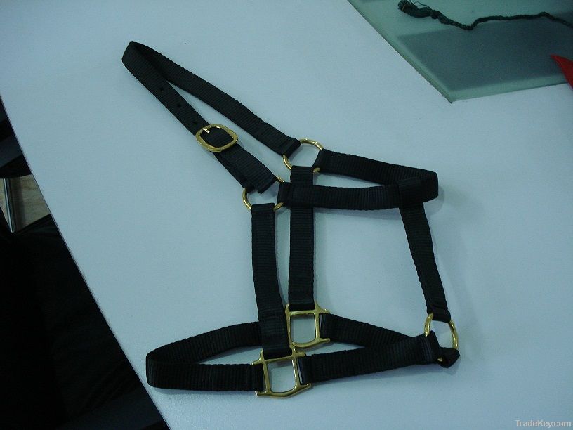 Horse halters